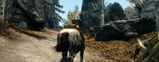 Elder Scrolls V: Skyrim, The - The Elder Strolls, часть 10: «Конь блед»